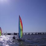 IMGP0448.jpg