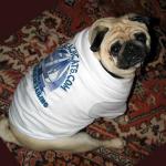 The Official Beachcats Dog Shirt