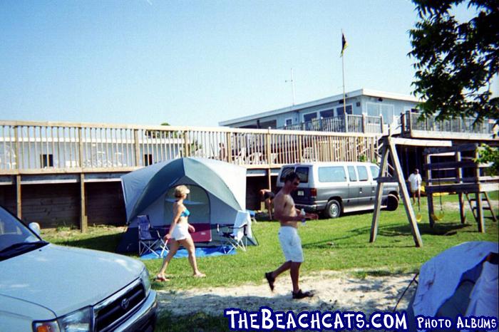 TheBeachcats.com camp headquarters.