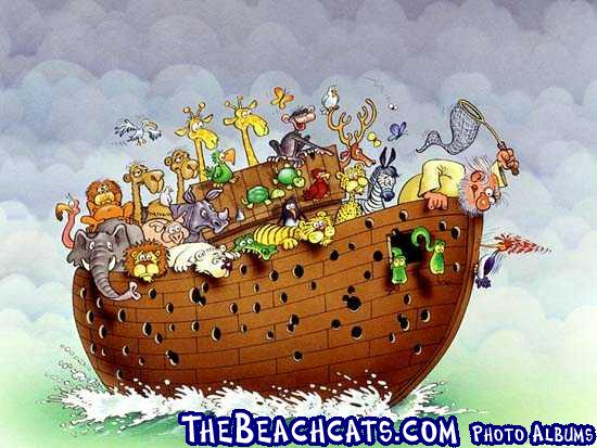 wood boat & woodpecker