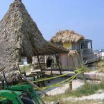 Ft Walton 084