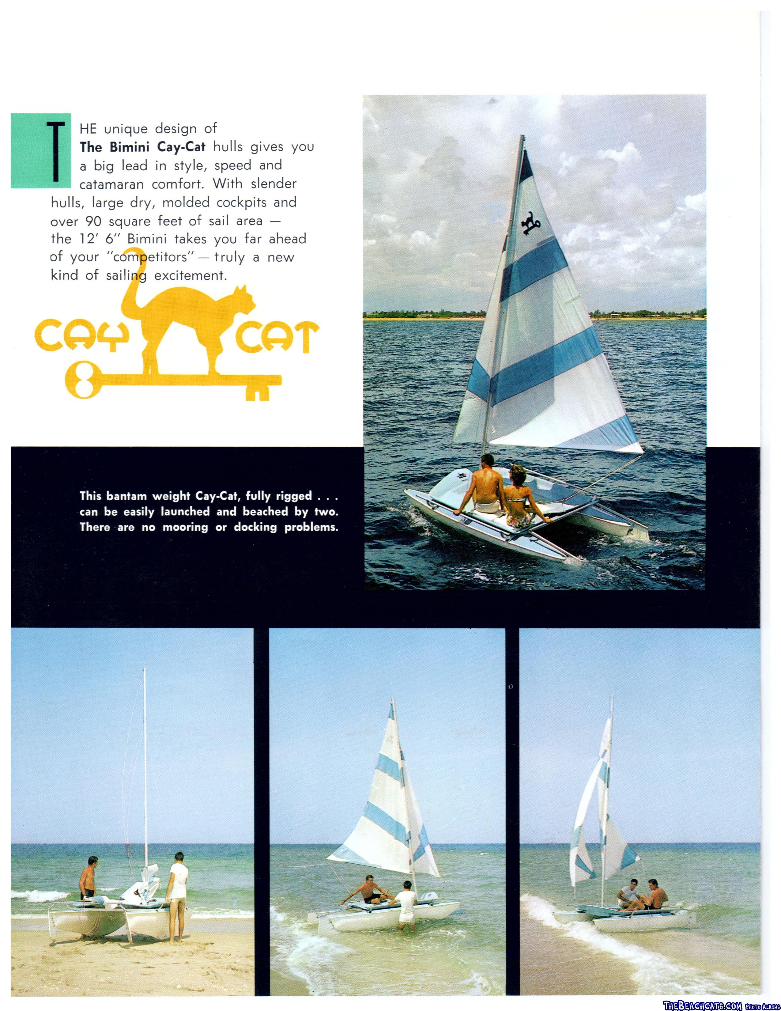 cay_cat_2