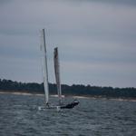 Alter-Cup-2012-DJ-D1-141