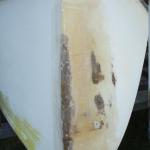 P16 Ft Transom repaired WO plate