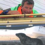 Man and a baby sea lion under a mainsail tent