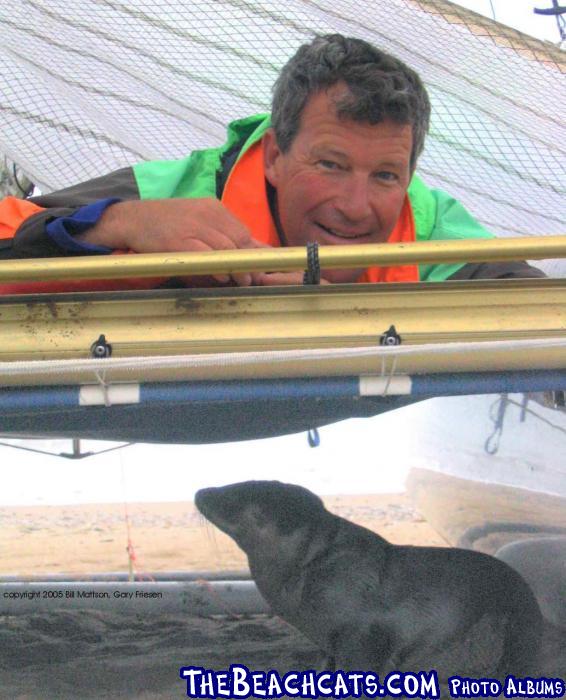 Man and a baby sea lion under a mainsail tent