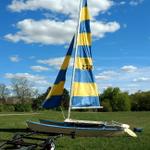 hobie sails