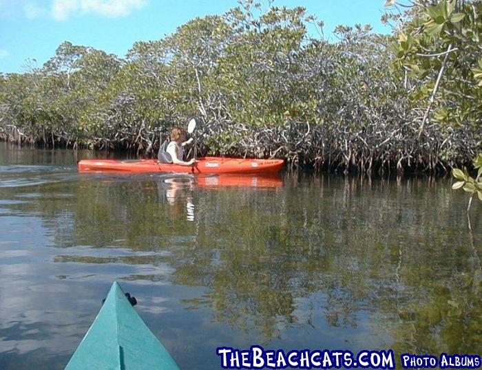 Kayaking in the Mangrove channels in John Pennykamp State Park