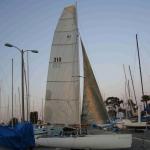 Whisk EP sails 039