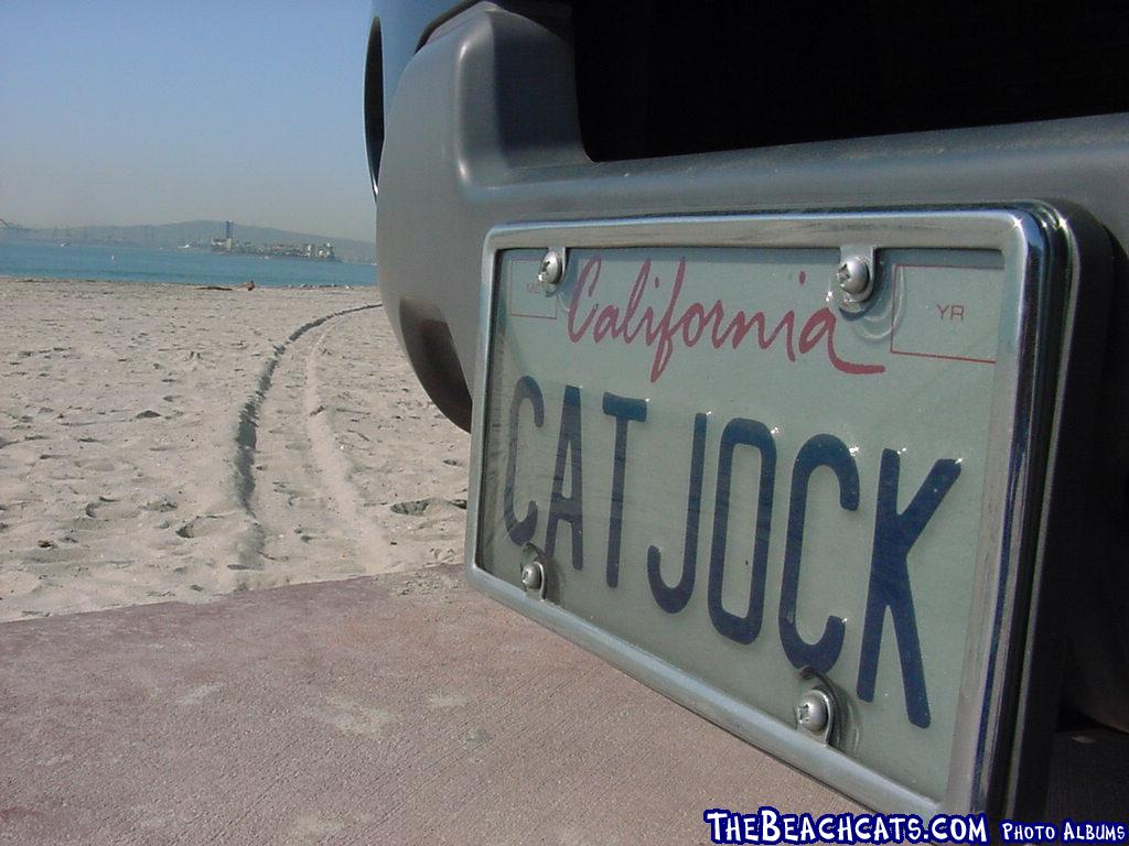 Cat Jock