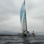 Man Overboard - Sailing Back