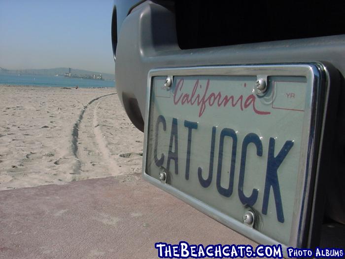 Cat Jock